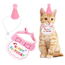 Cat Birthday Outfit, Puppy Bib, Small Dog Hat, Pet Birthday Accessories (Pink)
