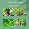 Plant Support Clips for Climbing Plants, Garden, Tomato Vines, Grape