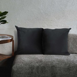 Betadistor Black cushion covers 2 Pack, Velvet Soft Decorative Throw Pillow Covers 45x45 cm Cushion Covers 18x18 Inch Cushion Case Square Pillowcases for Couch Sofa Living Room, Black, 516-0330