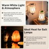 FRIGESWIFT 15W E12 Salt Lamp Bulb 120V 2700K Clear Glass