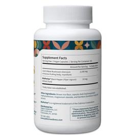 Pattern Wellness Lion’s Mane Mushroom – Supplement Capsules for Cognitive & Focus Support – Enhanced Absorption – 90 Vegan Capsules