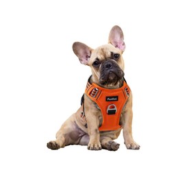Funfox Dog Harness for Small Dogs, No-Pull Puppy Harness, Adjustable Dog Harness, Anti-Pull Safety Harness for Small & Medium Dogs, Chest Harness for Dogs, Breathable Dog Harness, Orange, S