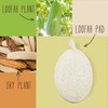 Stephanie Franck Beauty Badeset - drei Peeling Handschuhe aus Luffa,