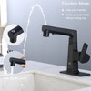 LED Bathroom Faucet with Pull Out Sprayer, Rzoeox Black Temperature