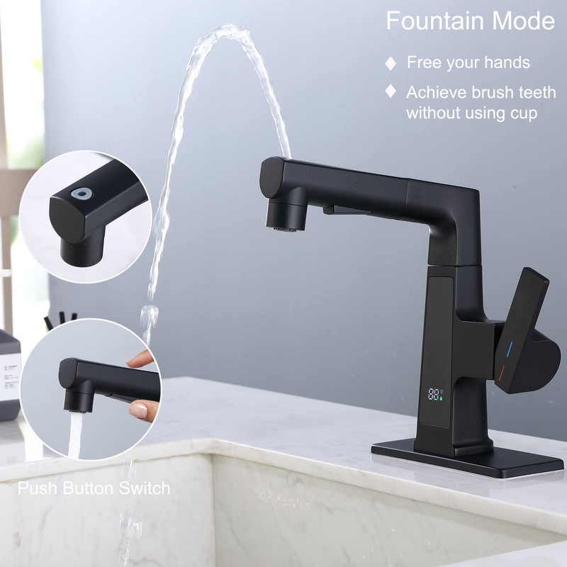 LED Bathroom Faucet with Pull Out Sprayer, Rzoeox Black Temperature