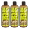 Class & Classs Kit 3 Shampoo Argan Hidrata Y Repara