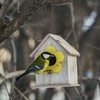 Hotop 6 Pieces Heavy Duty Big S Hooks Bird Feeder