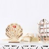 CroBlissful Seashell Shaped Wooden Shadow Box with Acrylic Window, Shadow