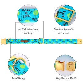 Lionet Paws Dog Collar with Bow Tie, Adjustable Detachable Bowtie Collar for Puppy Small Medium Large Dogs and Cats Girl Boy Gift