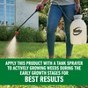 Roundup for Lawns₂ Concentrate, Weed Killer for Northern Grasses, Kills