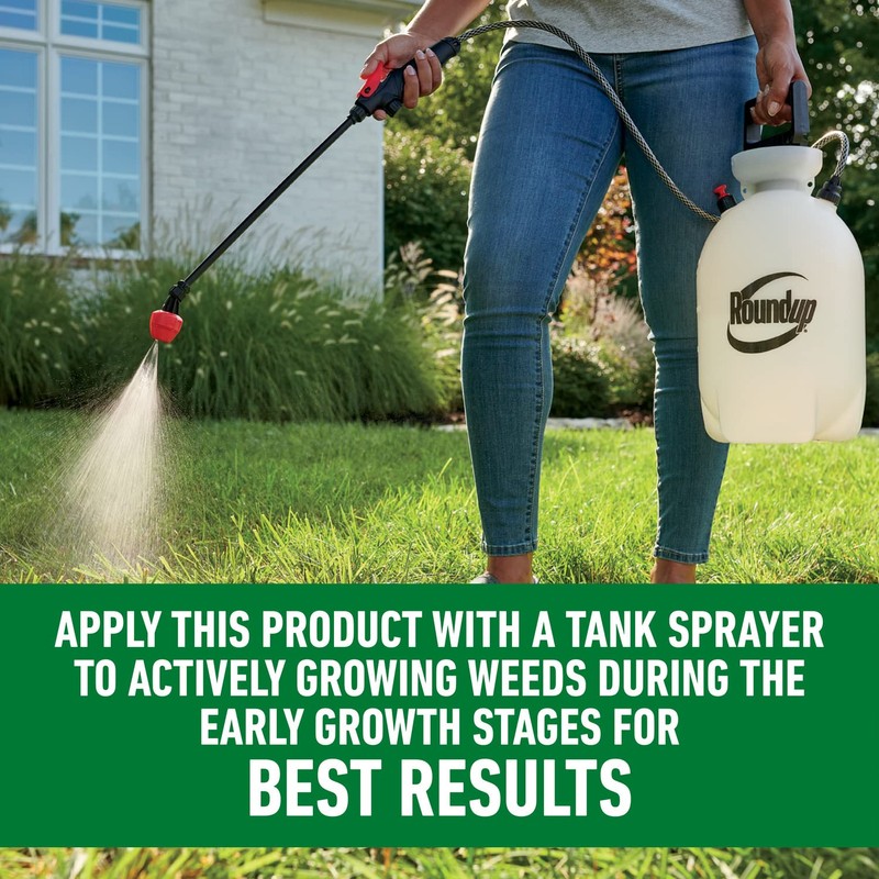 Roundup for Lawns₂ Concentrate, Weed Killer for Northern Grasses, Kills