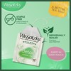 Wissotzky Wellness Detox Herbal Tea, 20 Tea Bags | Caffeine