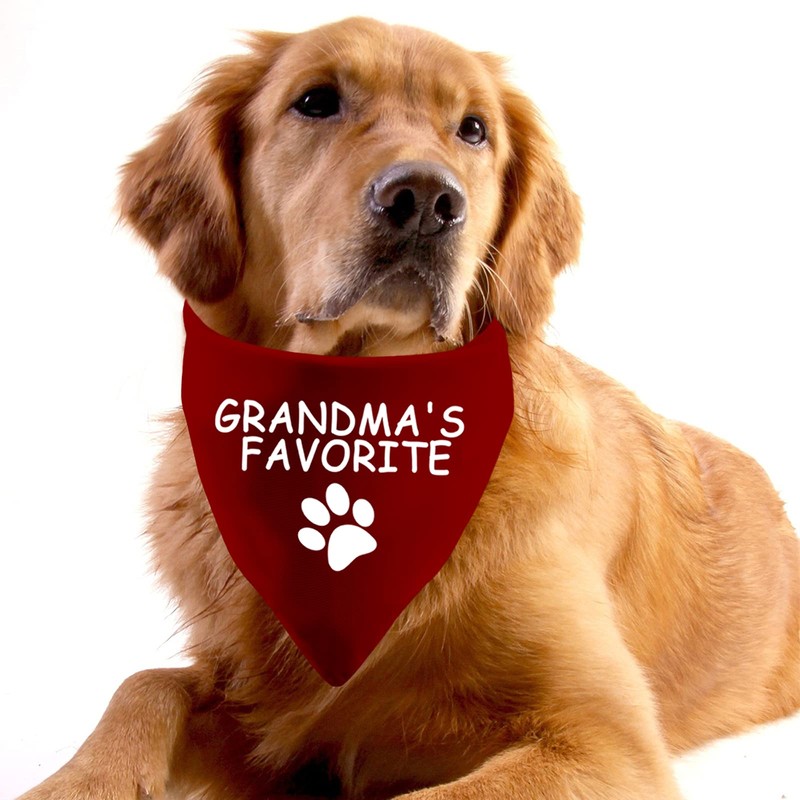 1 Piece Grandma's Favorite Pet Bandana for Dog Owner (Grandma's