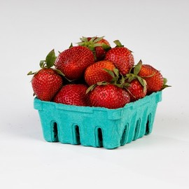 Pactiv M336153 Biodegradable Green Pulp Half Pint Berigard Berry Basket - 600 per Case