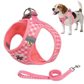 Breathable Mesh Dog Harness and Leash Set,Reflective No Pull Step in Vest with Safety Buckle,Escape Proof No Chock Cat Harness,360° Surround Fit,Suitable for Small Medium Dogs Cats Easy Walk