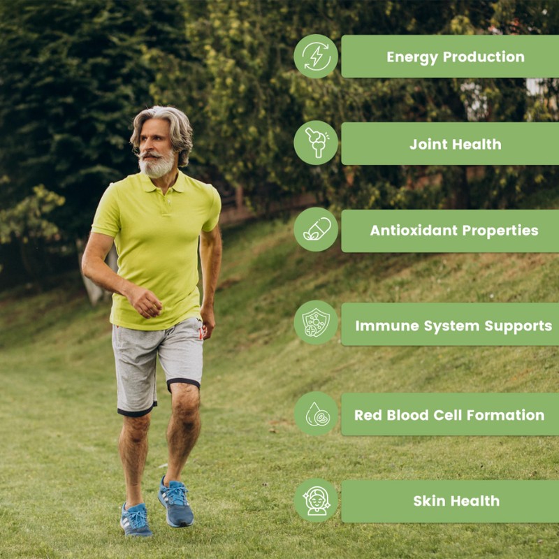 Bodygenix Copper 2mg Tablets - High Strength Healthy Immune System