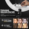 Ring Light with Stand & Phone Holder Kit - 19"