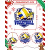 Volleyball Ornament Volleyball Gifts for Teen Girls Players Birthday Christmas