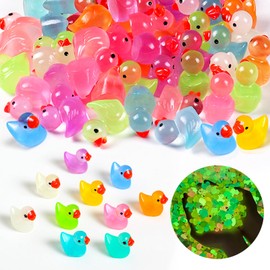 TAIXING Mini Ducks 100 Pieces, 10 Colours Mini Ducks Resin, Small Ducks Miniature Ducks Luminous Mini Duck for Aquarium, Dollhouse, Miniature Garden, Crafts, Pot Decorations, DIY, Home Decoration