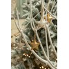 Pack of 8 white and gold metal star decorations