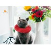 2PCS Cat Cone Collar and Cat Recovery Suit, Anti-Bite, Stop
