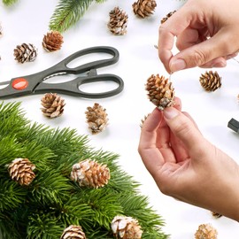 com-four® 50 x Decorative Cones Larch - Scatter Decoration for Autumn and Winter - Cones Decoration - Small Larch Cones - Pine Cones (50 x Larch Cones White)