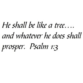 Tapestry Of Truth - Psalm 1:3 - TOT6334 - Wall and Home Scripture, Lettering, Quotes, Images, Stickers, Decals, Art, and More! - He Shall be Like a Tree….and Whatever he Does Shall Prosper. Psalm 1:3