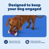 PetSafe Busy Buddy Nobbly Nubbly Treat Holding Dog Toy -
