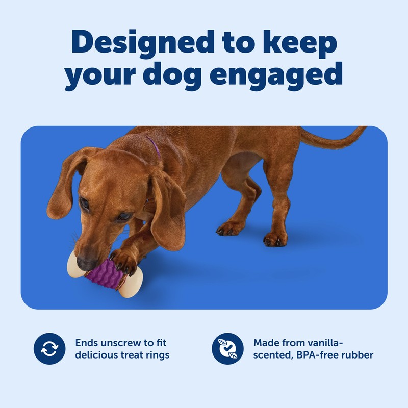 PetSafe Busy Buddy Nobbly Nubbly Treat Holding Dog Toy -