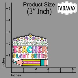(3Pcs) Teacher Plant Seeds That Grow Forever Sticker, Back to School Gifts for Teacher Decorate Books,Phone, Laptops, Water Bottles Kindles, Waterproof Vinyl Decals Funny Teaching Stickers 3x2.8 Inch