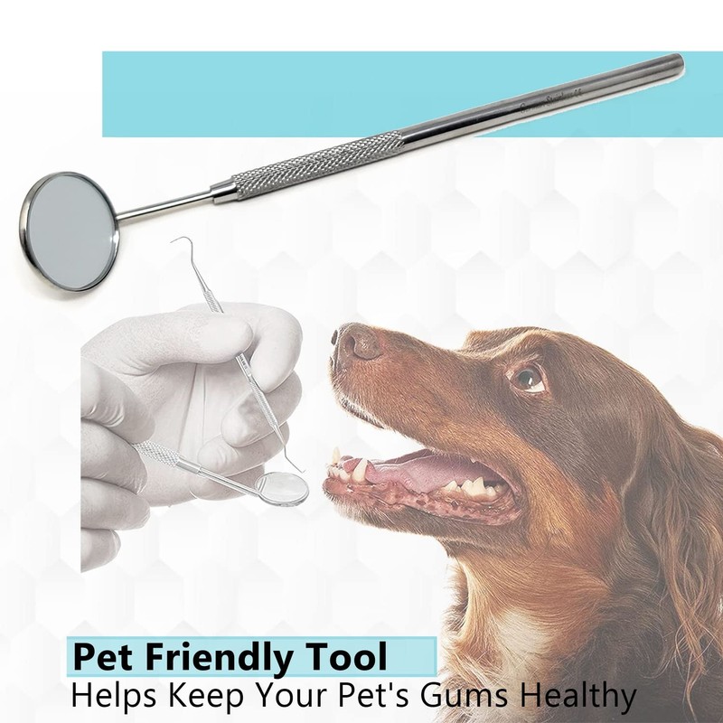 Dental Mouth Teeth Inspection Mirror #5 with Stainless Handle, Cone