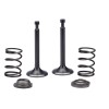 BMP Intake Exhaust Valve Spring For Generac 7127 iQ3500 3500