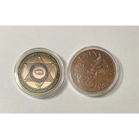 10 Pcs LA LOS ANGELES COUNTY SHERIFF DEPARTMENT Police Challenge Coin