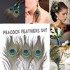 12pcs Beautiful Natural Peacock Feathers 25-30cm for DIY Wedding Holiday