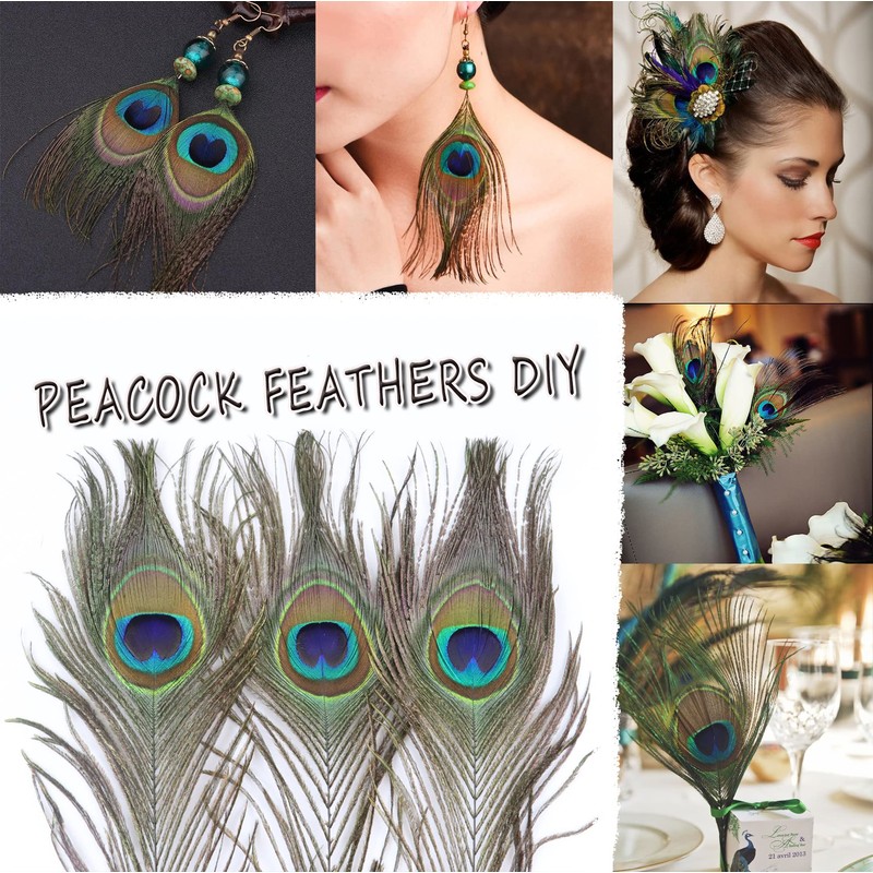 12pcs Beautiful Natural Peacock Feathers 25-30cm for DIY Wedding Holiday