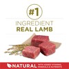 Purina ONE Dry Dog Food Lamb and Rice Formula -