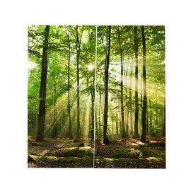 Forest Curtains, Trees Sunlight Shower Curtain Wild Natural Landscape Trees Scenery Window Drapes Living Room Bedroom Decor Printing Shading Curtains(150 * 166cm)