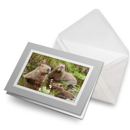 Greeting Cards Gray (Insert) - Capybara Swimming Family Blank Greetings Card Birthday Kids Party Boys Girls #21314