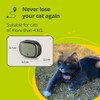 Kippy - GPS Pet Tracker Collar Evo - Health and