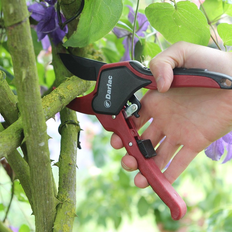 Darlac Classic Ratchet Pruner – Garden Pruner That Multiplies Pressure