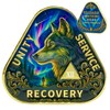 Leafence Wolf Sobriety Coin AA Recovery Medallion Unity Service Recovery