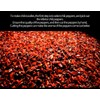 Bailinhou Chinese sichuan Devilishly hot red Chili Powder 35.27oz/1000g, Devil