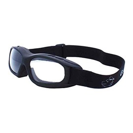 Guard-Dogs Goggle, Evader 1 Matte Black (Clear w/FogStopper)