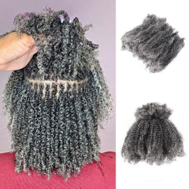 Afro Kinkys Bulk 100% Human Hair 50g/Bundle Colored Afro Kinky Curly For Crochect Lock Dreadlock Braids Hair Extensions (Mixed Grey, 18 Inches)