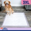 Hartz Hartz Home Protection Lavender Scented Dog Pads, 3XL 30