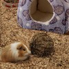 Lotsdonxia Small Animal Warm Bed – Lightweight & Cozy Pet