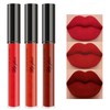 Erinde Matte Velvet Lipstick Set, Non-Stick Cup Red Lipstick, Light