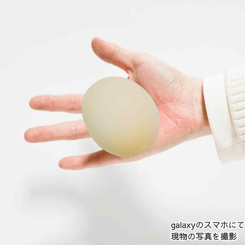 Magic Magic Egg, White Eggs, Pigeons, 2.4 inches (6 cm),