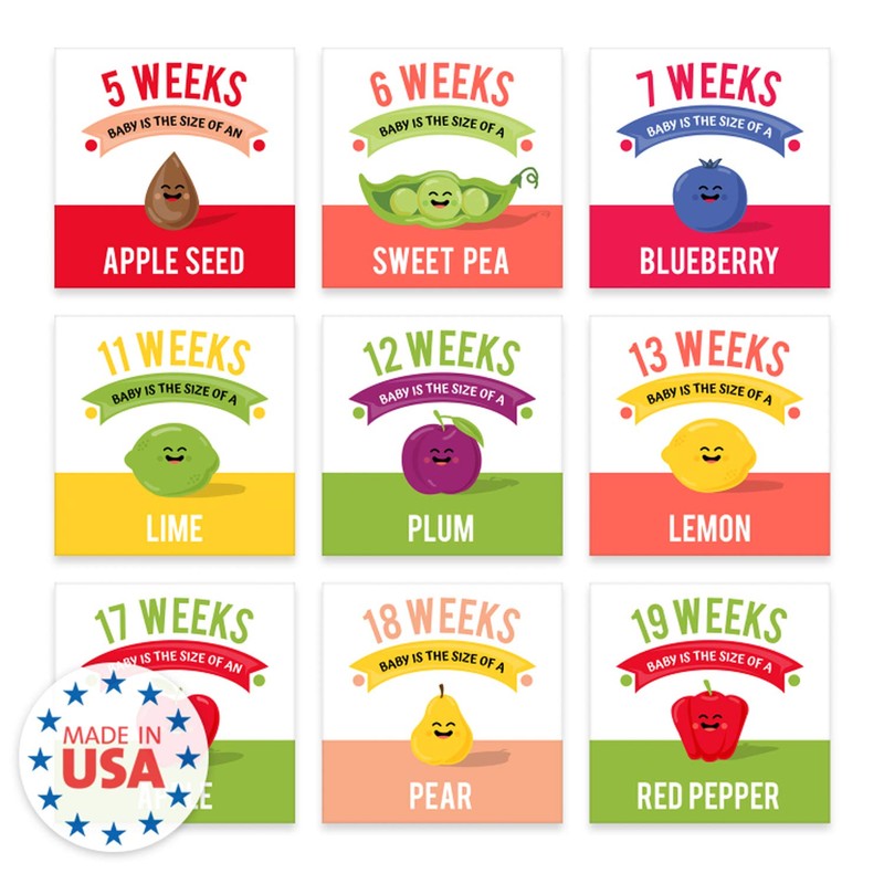 Maternity Weekly Milestone Photo Props / 9" x 9" Modern