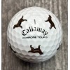 Callaway Chrome Tour Truvis Let The Big Dog Eat Chocolate